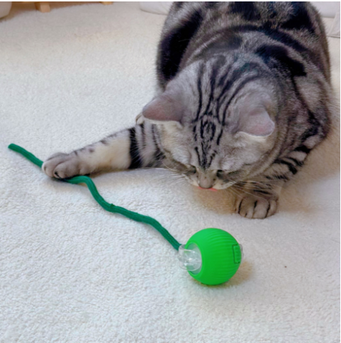 자동 스마트 볼 장난감