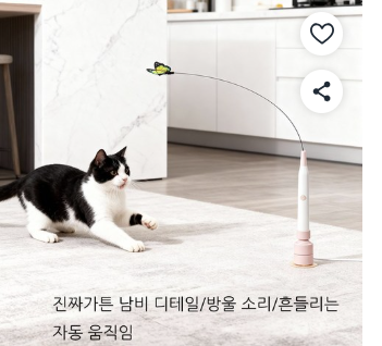 고양이 나비 전동 장난감
